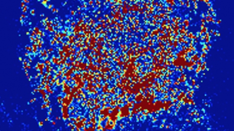 partial-wave spectroscopic microscopy