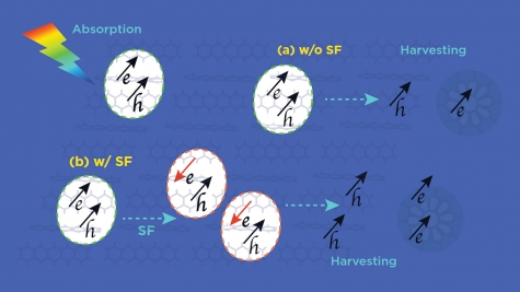 Schematic of exciton harvesting