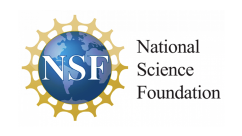 National Science Foundation Logo 