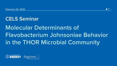 CELS seminar featuring title and date.