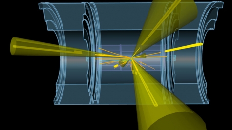 Simulation of a vector boson plus jet event