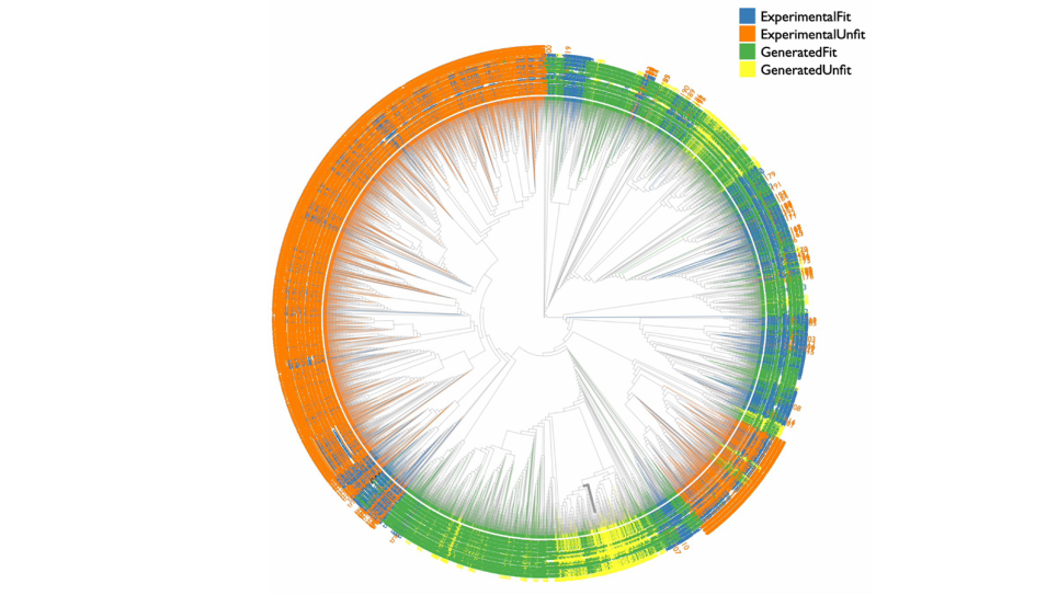 Phylogenetic tree visualization of yeast sequence