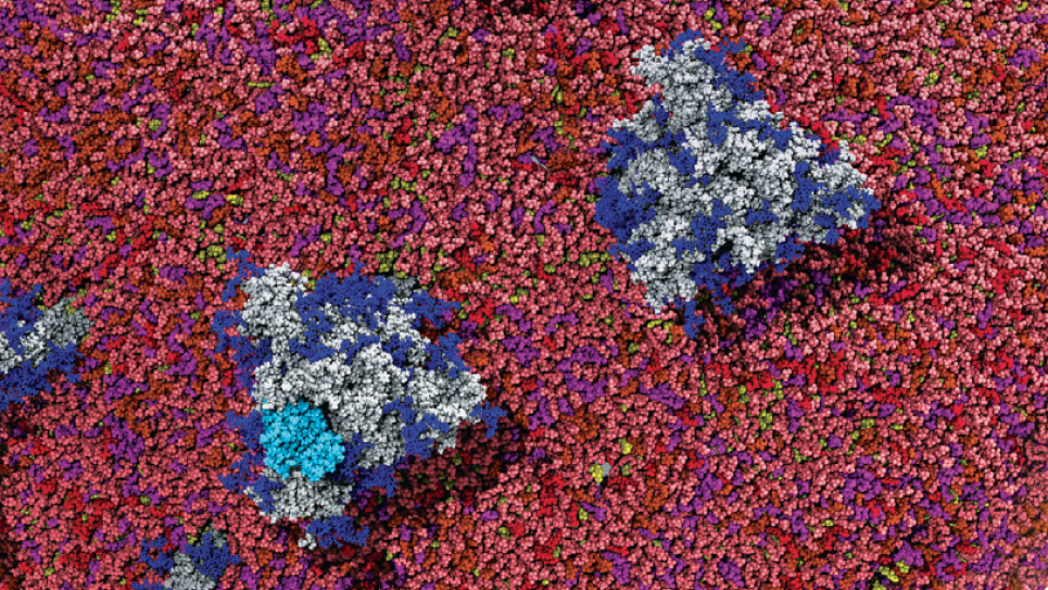 2020 ALCF Science Report