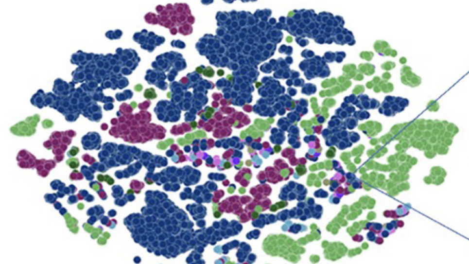 genome-scale language model